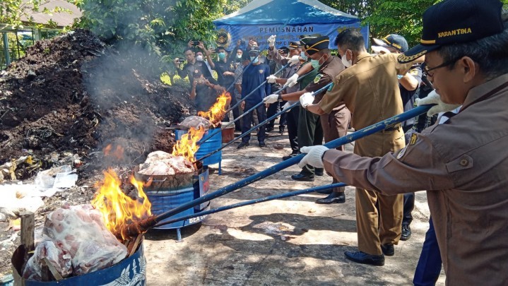 Bea Cukai Bengkalis Musnahkan 41,2 Ton Daging Impor Ilegal Asal India