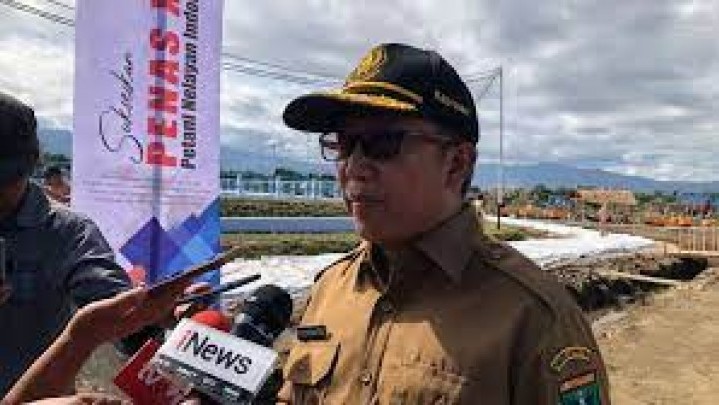 100 Hektare Lahan di Pessel Terbakar, Penyebabnya Belum Diketahui
