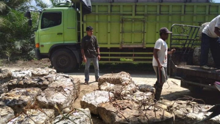 Sepekan ke Depan Harga Jual Karet Sama dengan Pekan lalu Sepekan ke Depan Harga Jual Karet Sama dengan Pekan lalu
