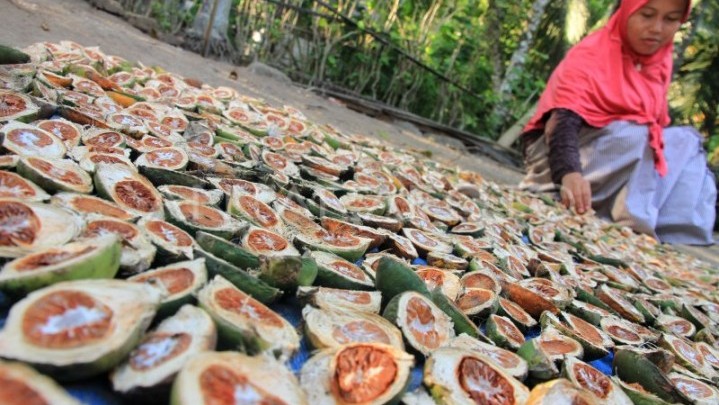 Sepekan ke Depan Harga Jual Pinang di Riau Naik Rp9 per Kilogram Sepekan ke Depan Harga Jual Pinang di Riau Naik Rp9 per Kilogram