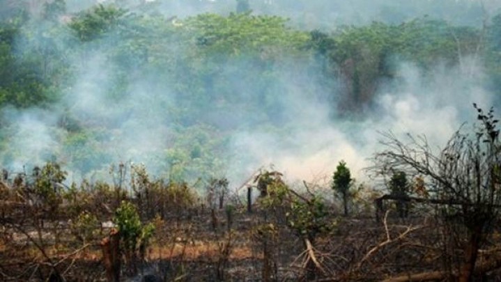 Di Wilayah Riau Terpantau 1 Titik Panas