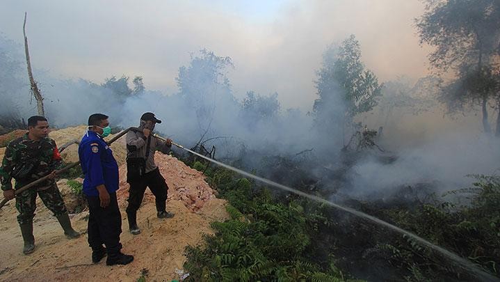 Informasi Karhutla Riau Diharapkan Melalui Satu Pintu