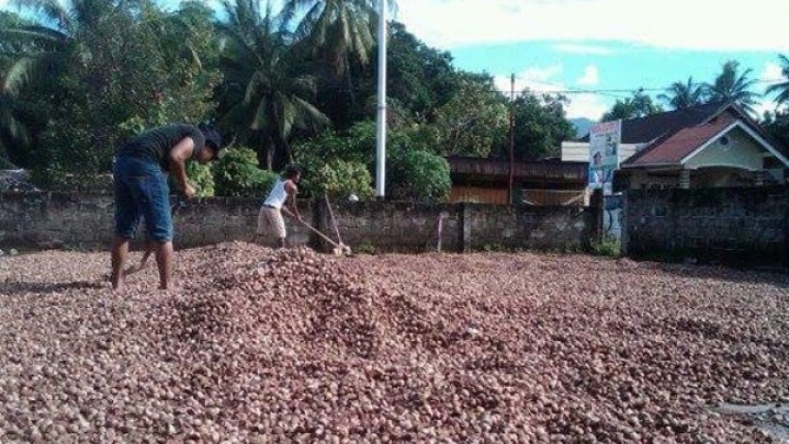 Harga Jual Pinang di Riau Pekan Ini Rp6.880 per Kg