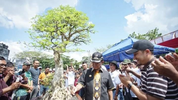 Di Inhil Pameran Bonsai akan Jadi Agenda Tahunan