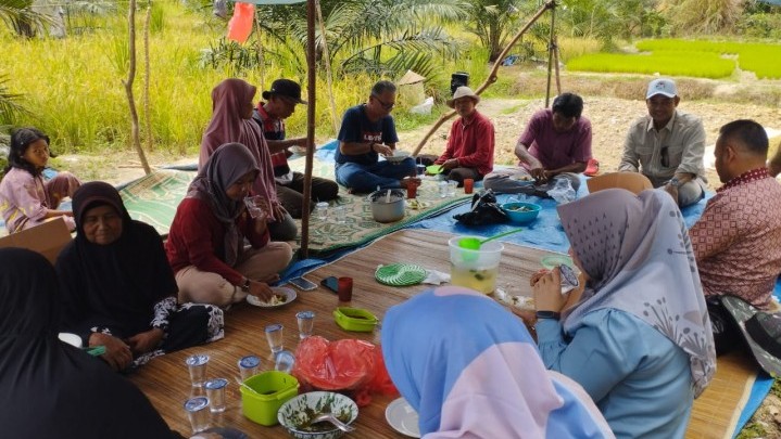 Sambil Makan Siang di Sawah, Ketua DPRD Kampar Hadiri Panen Raya di Balam Jaya Sambil Makan Siang di Sawah, Ketua DPRD Kampar Hadiri Panen Raya di Balam Jaya