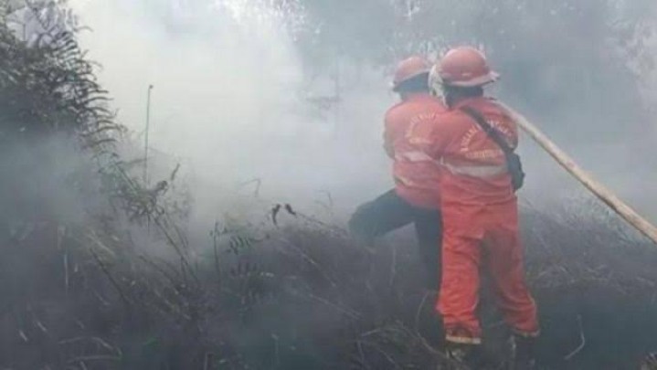 BPBD: Jumlah Hotspot dan Titik Api di Riau Meningkat