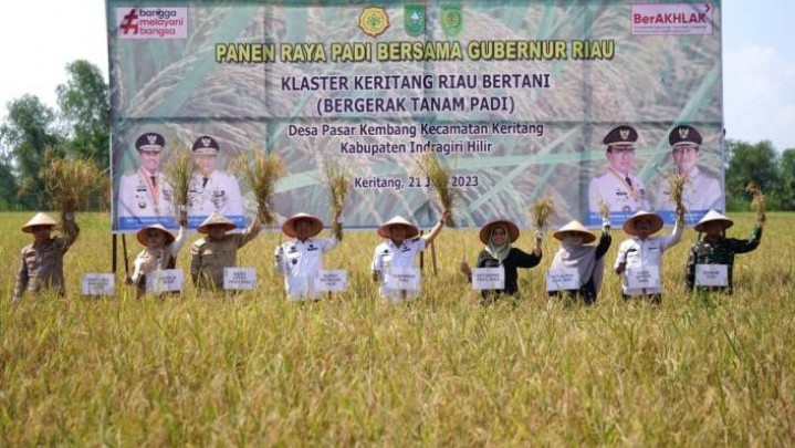 Pemprov Riau Beri Perhatian Khusus pada Petani Padi di Inhil