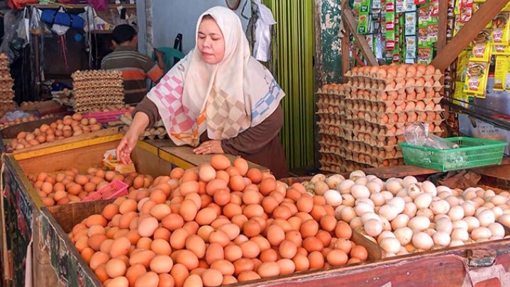 Disperindag Riau Akui Harga Bahan Pokok Naik Disperindag Riau Akui Harga Bahan Pokok Naik
