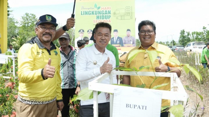 Peringatan HLH Sedunia, DLH Rohil Tanam 500 Pohon