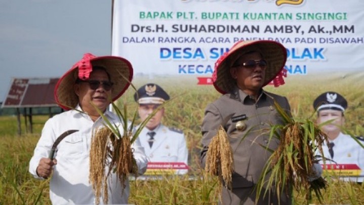 Pemkab Kuansing Siapkan Kecamatan Benai Sebagai Daerah Swasembada Pangan