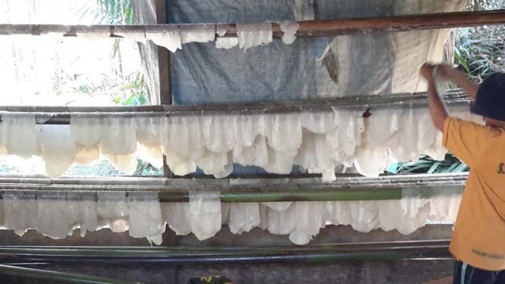 Harga Jual Sagu Basah di Meranti Turun