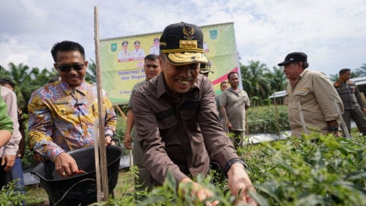 Panen Raya di Rohul, Gubri: Kami Menjaga Harga Pangan