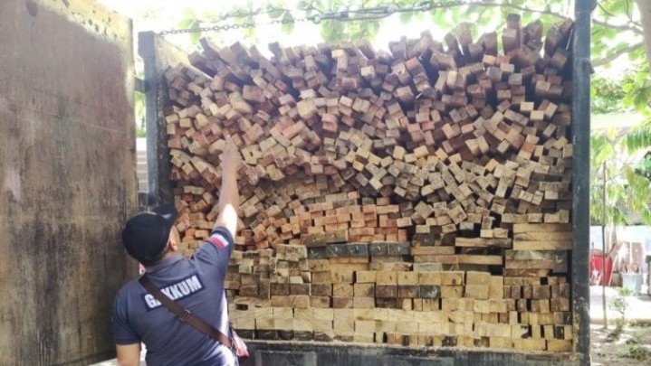 Gakkum KLHK Tangkap Pelaku Illegal Logging di Solok Selatan