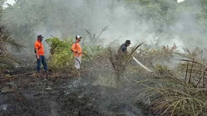Lahan di Bangko Pusako Rohil Terbakar Lahan di Bangko Pusako Rohil Terbakar