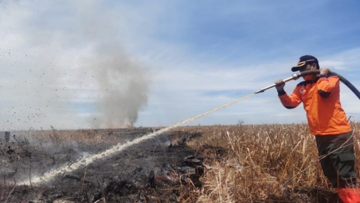 Karhutla di Desa Teluk Bano Rohil Berhasil Dipadamkan
