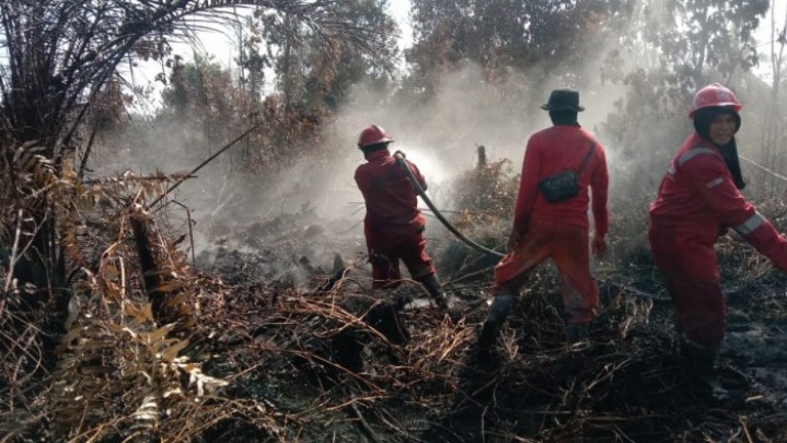 10 Hektare Lebih Lahan Hutan Produksi Konversi di Desa Karya Indah Kampar Disegel KLHK 10 Hektare Lebih Lahan Hutan Produksi Konversi di Desa Karya Indah Kampar Disegel KLHK