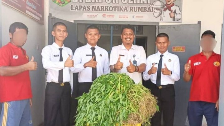 Lapas Narkotika Rumbai Panen Kangkung, Wujud Nyata Dukung Ketahanan Pangan Lapas Narkotika Rumbai Panen Kangkung, Wujud Nyata Dukung Ketahanan Pangan