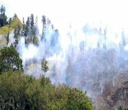 3.048 Hotspot Terdeteksi di Sumatera, Panas Terbanyak Riau di Bengkalis: Waspadai Karhutla dan Kabut Asap