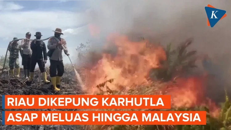 Asap Karhutla Kian Menggila: Dari Paru-Paru Warga hingga Seruan Anggota Parlemen Malaysia