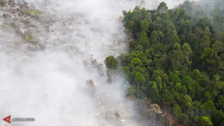 Asap Kebakaran Hutan RI Tersedot Topan Champi, Ilmuwan BRIN Ungkap Efek Tak Terduga pada Hujan