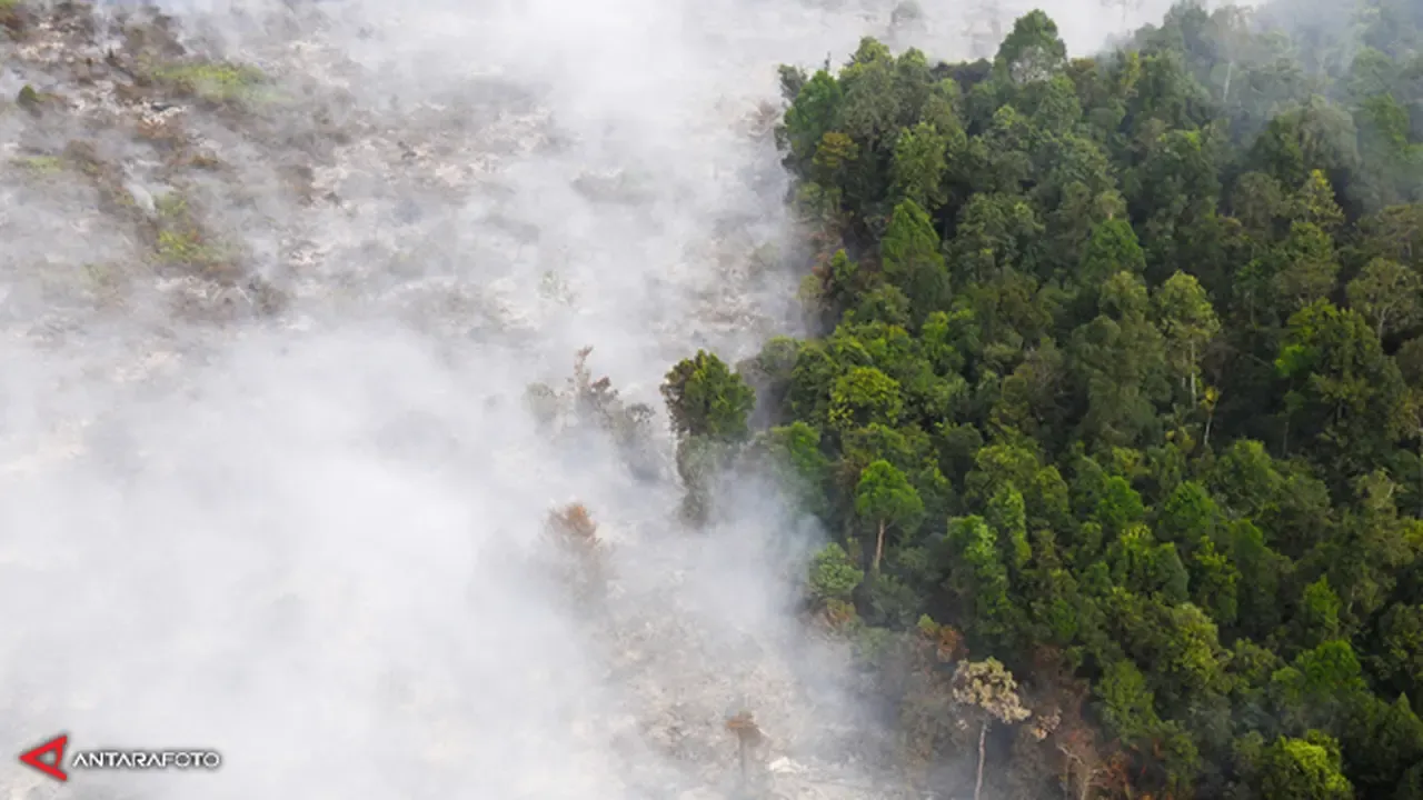 Asap Kebakaran Hutan RI Tersedot Topan Champi, Ilmuwan BRIN Ungkap Efek Tak Terduga pada Hujan