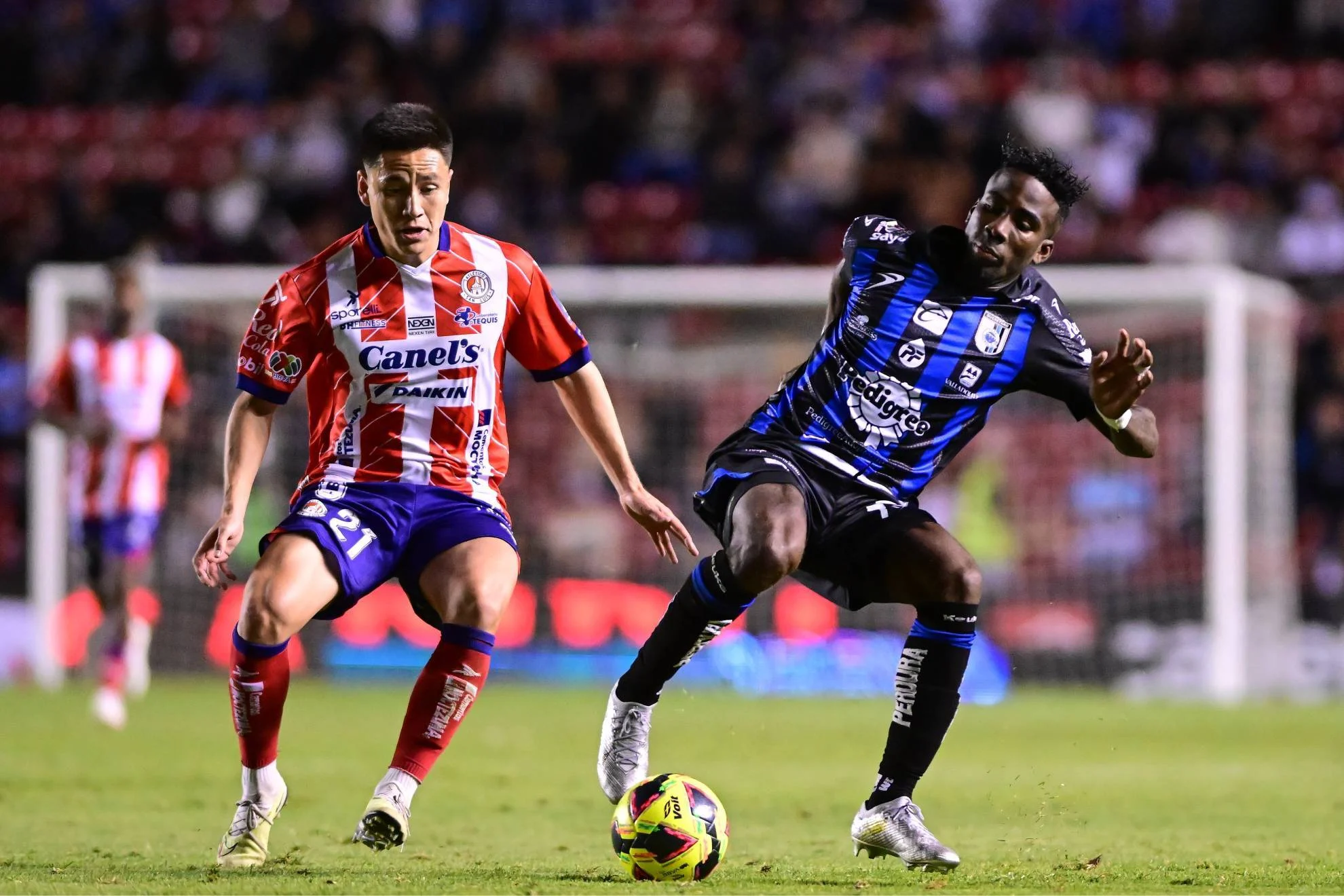 Atlético San Luis vs Querétaro: Gallos Blancos Keok di Klásico Ruta 57, Krisis Mulai Menghantui