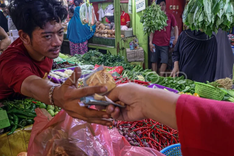 Daya Beli Masyarakat Diuji: Seporsi Ayam Goreng di Kupang Butuh 108 Menit Kerja, Banjarmasin Cuma 19 Menit