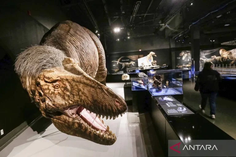 Fenomena Nama Dino: Dari Panggung Dunia hingga Pusaran Hoaks dan Hukum
