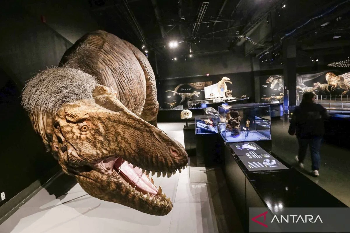 Fenomena Nama Dino: Dari Panggung Dunia hingga Pusaran Hoaks dan Hukum