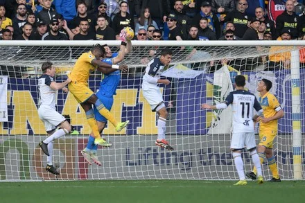 Frosinone vs Lecce: Benteng Stirpe Jadi Kunci, Prediksi AI Kompak Jagokan Tuan Rumah
