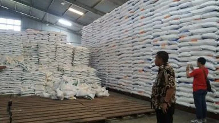 Harga Beras Melonjak, dari Dapur Warga hingga Surplus Sumut: Siapa yang Menanggung Beban?