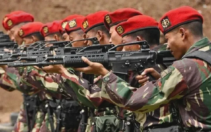 Ironi Komando Pasukan Khusus: Jerman Siaga Perang, Kopassus Diuji Insiden Senjata