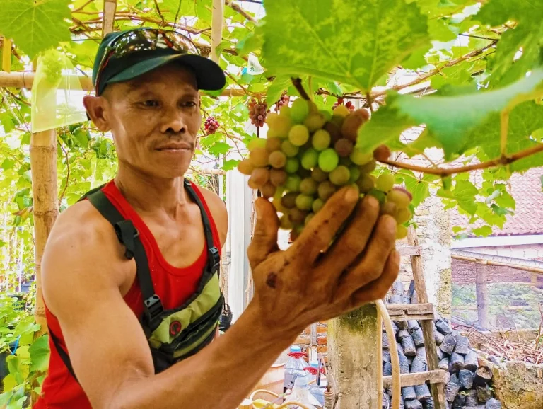 João Gomes dan Bisnis Tersembunyi di Balik Panggung: Ladang Anggur Rp2 Miliar hingga Gebrakan di F1