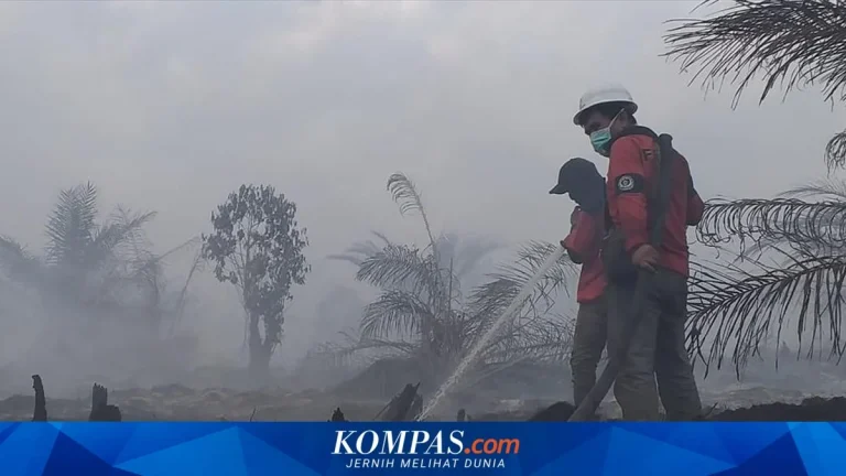 Kabut Asap Karhutla Picu 13.850 Warga Pekanbaru Terkena ISPA, Puskesmas Buka Layanan Hingga Malam