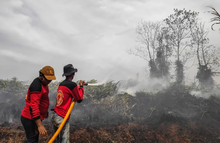 Kebakaran Besar di Lahan Gambut: Bara Tersembunyi, 10 Relawan Gugur, dan Perjuangan Panjang di Enam Provinsi