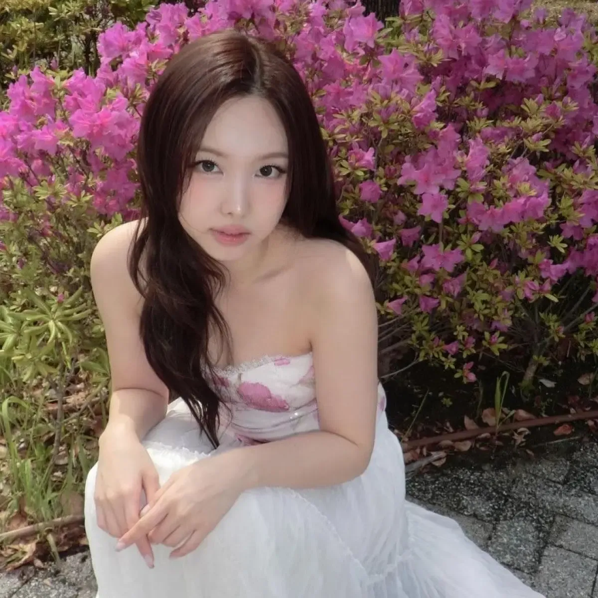 Nayeon TWICE Targetkan Album Solo Baru Akhir November 2026, JYP Entertainment Konfirmasi Persiapan Comeback