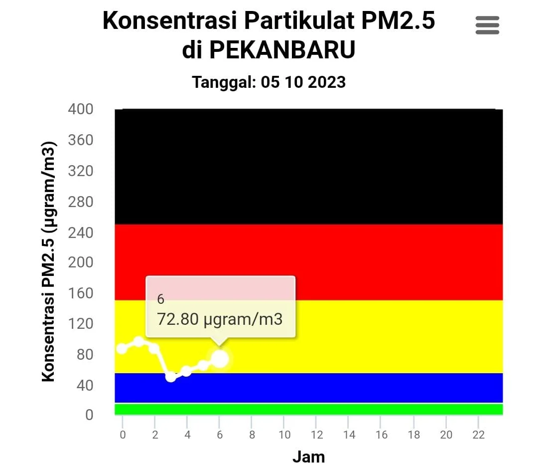 PM2.5 Pekanbaru Tembus 147: Udara Sangat Tidak Sehat, Jarak Pandang Cuma 200 Meter