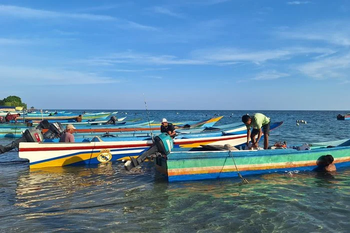 Pulau Buru Jadi Sorotan: TNI AL Bekuk Kapal Pengangkut 8.388 Kubik Kayu Ilegal di Kawasan Konservasi