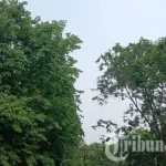 Ramalan Cuaca Jumat 30 Oktober 2026: Gerimis Guyur Jawa Timur, Udara Kabur Selimuti Kaltim dan IKN