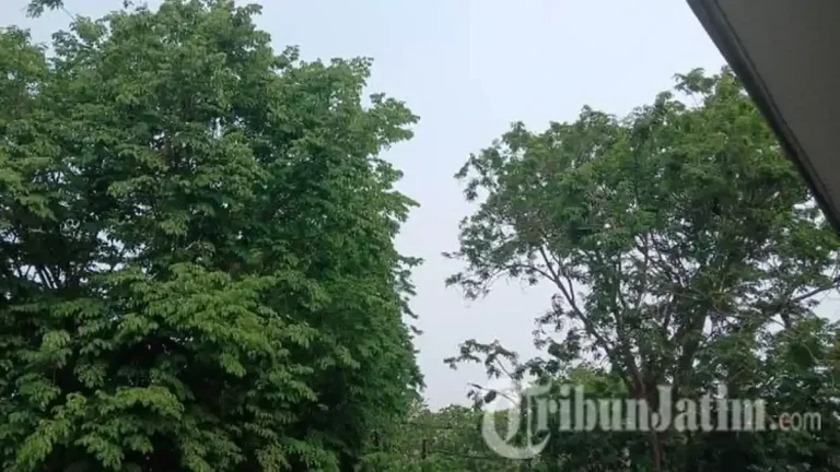 Ramalan Cuaca Jumat 30 Oktober 2026: Gerimis Guyur Jawa Timur, Udara Kabur Selimuti Kaltim dan IKN