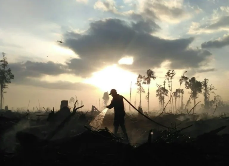 Saat Asap Mengepung Rasman Berteriak Memperingatkan Rekannya, Kisah Petugas Damkar Karhutla Riau